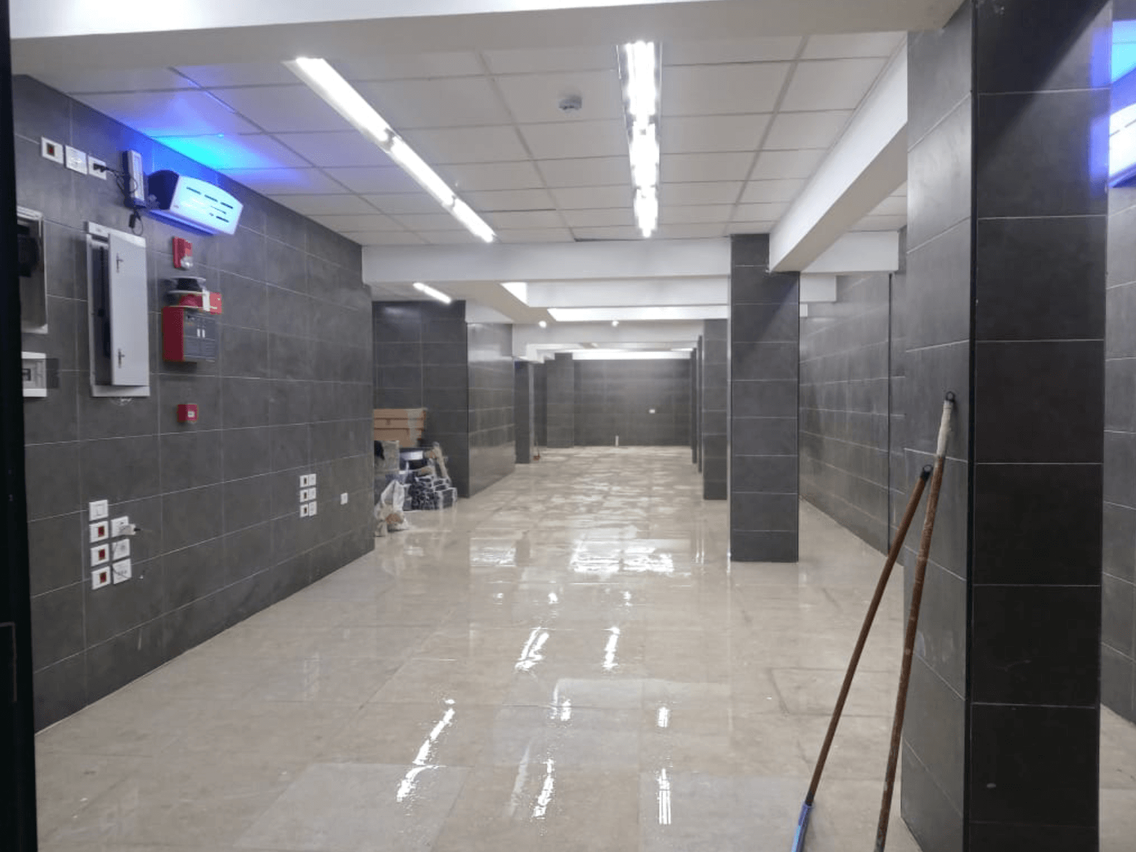 New Project - 2025-04-20T170941.212