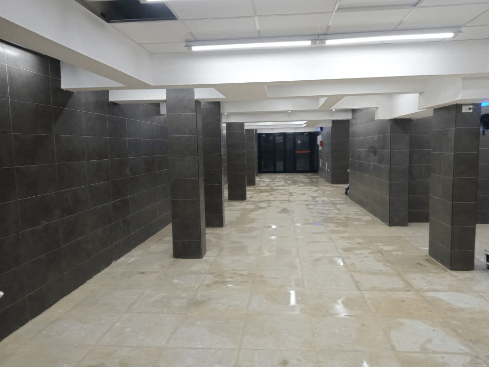 New Project - 2025-04-20T171110.059