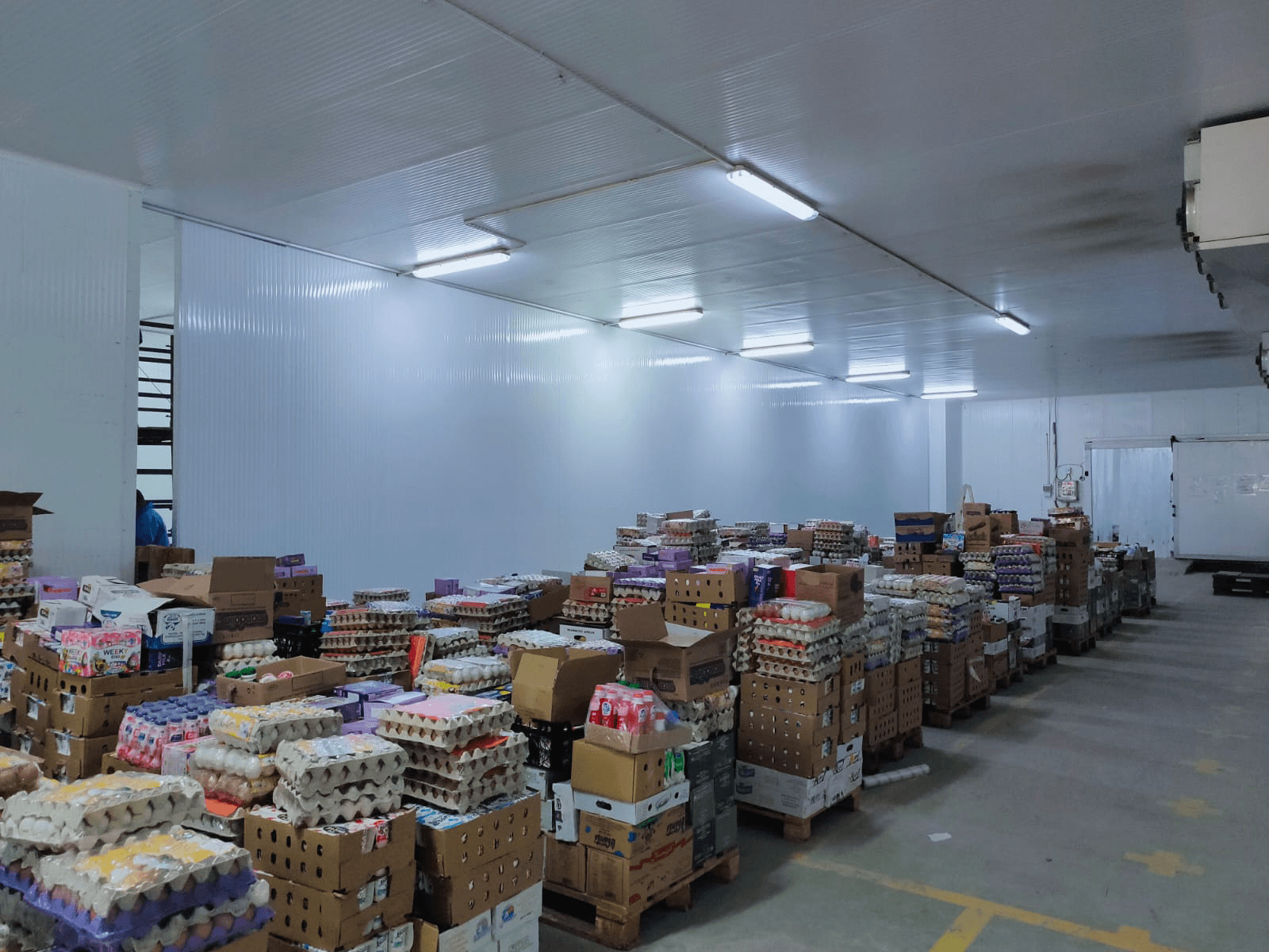 New Project - 2025-04-20T172845.524